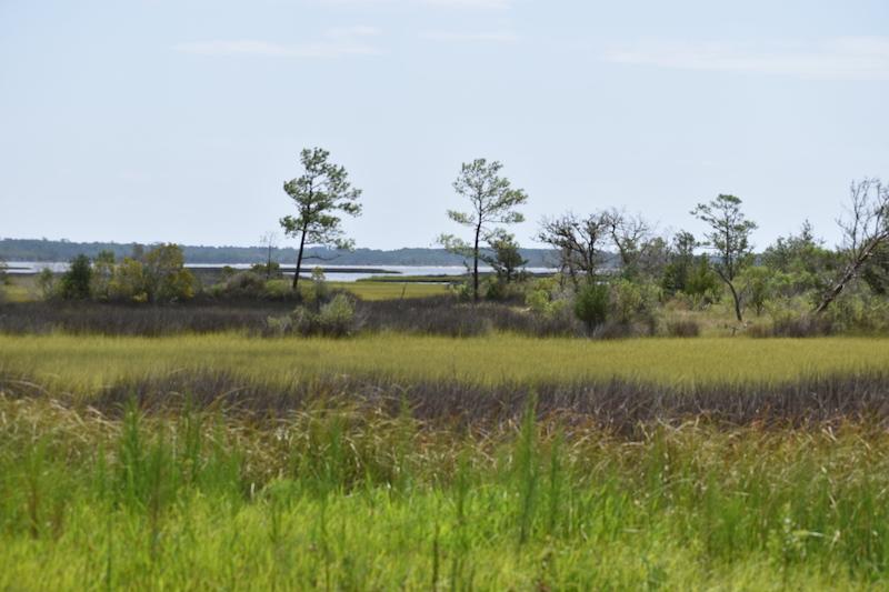 Swansboro, NC 3.09 acres Land and Farms Realty